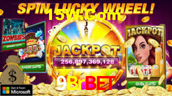 9Brbet App Interface